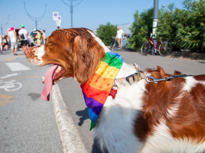 Pride Lignano 2024