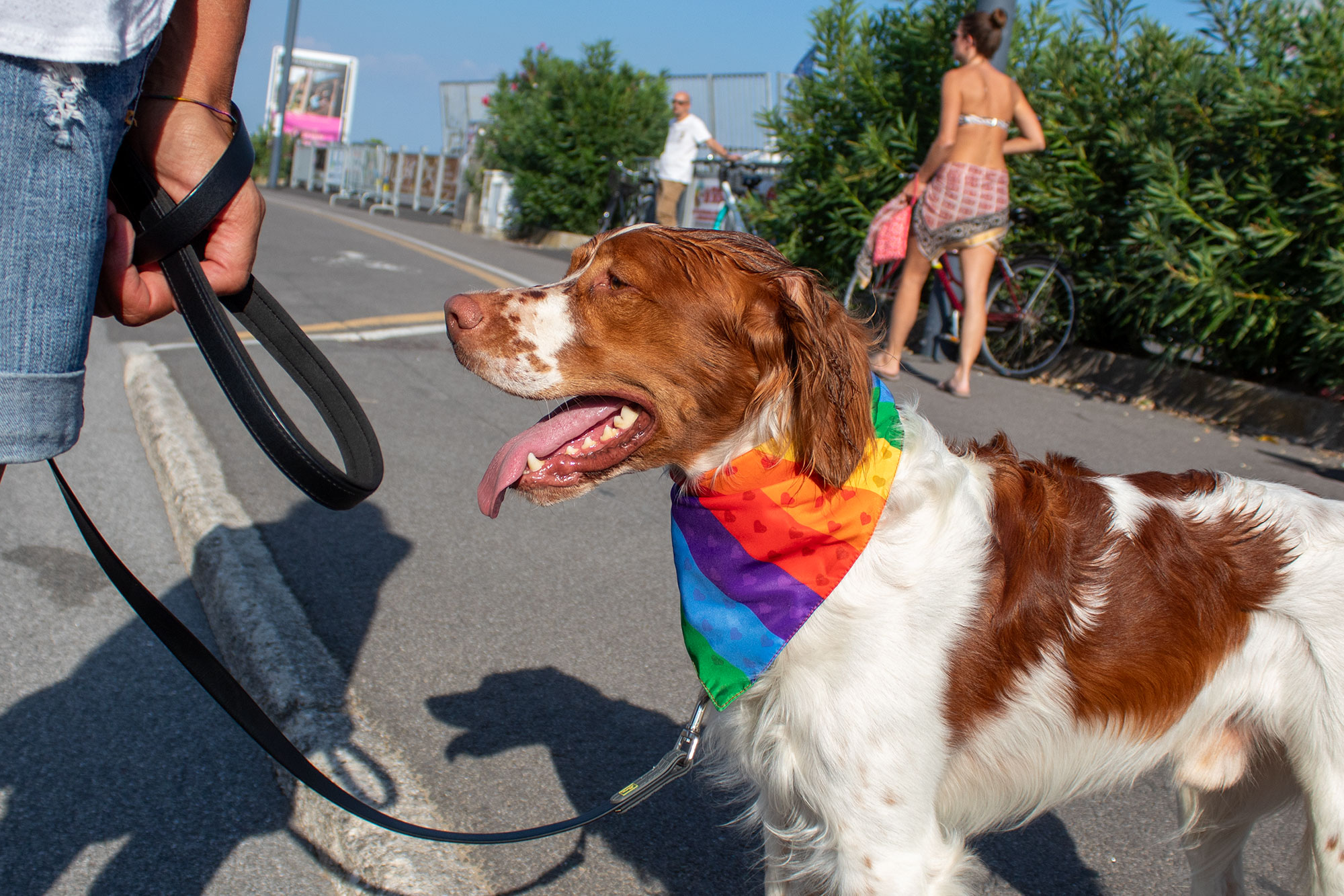 Pride Lignano 2024