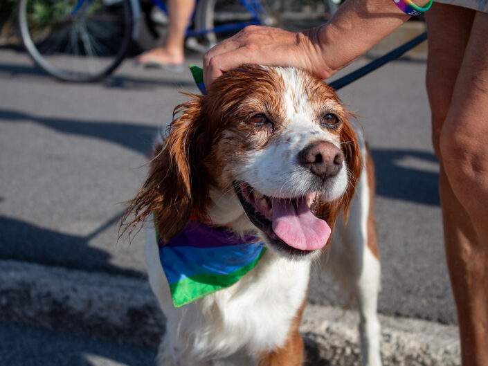 Pride Lignano 2024